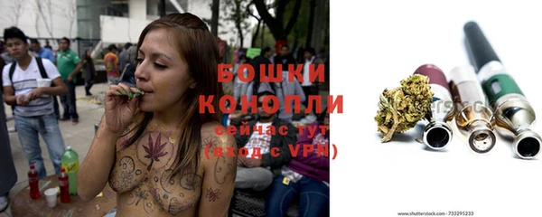 spice Балахна