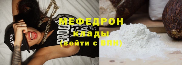 стаф Аркадак