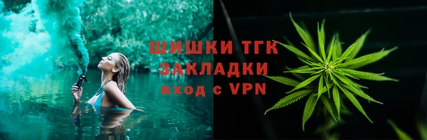 стаф Аркадак