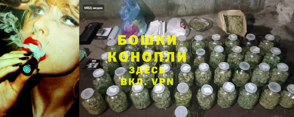 стаф Аркадак