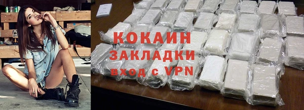 стаф Аркадак