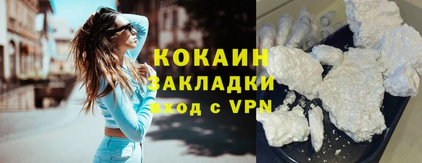 стаф Арсеньев