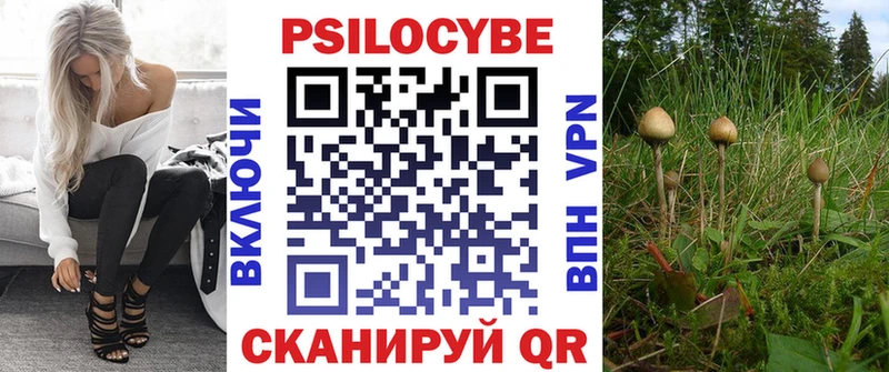 Галлюциногенные грибы Cubensis omg ссылка Кологрив хочу